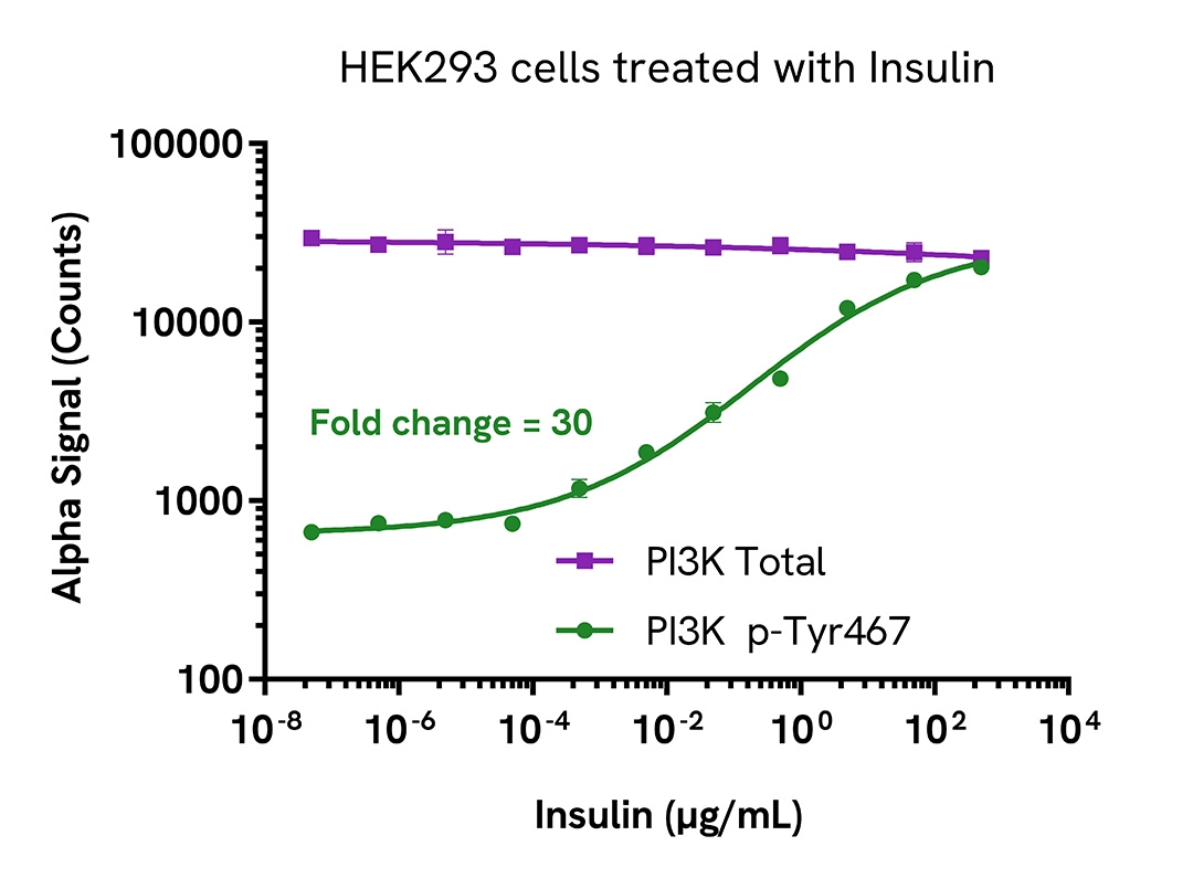 Pharmacological Validation (activator) of Phospho PI3K (Tyr467)