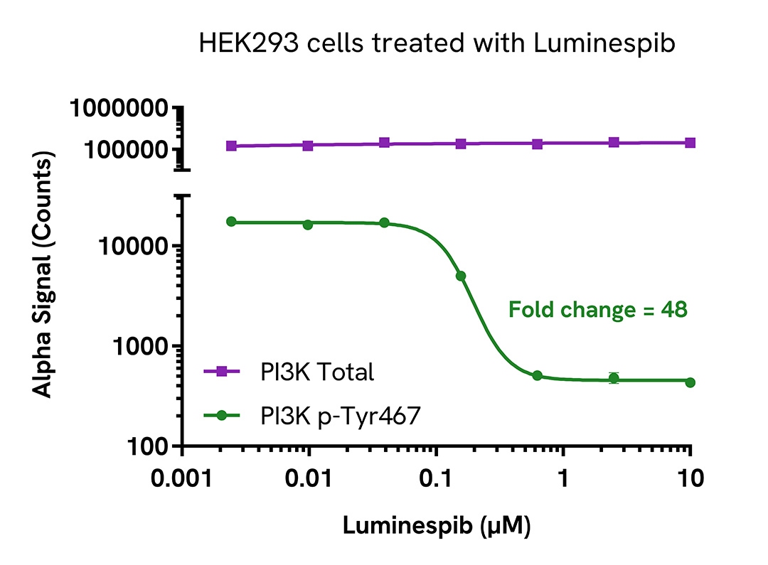 Pharmacological Validation (inhibitor) of Phospho PI3K (Tyr467)