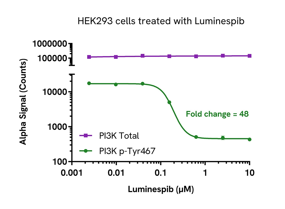 Pharmacological Validation (inhibitor) of Total PI3K