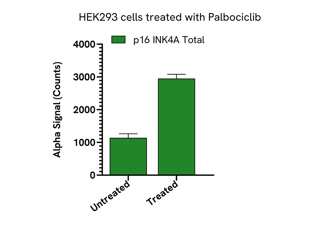 Pharmacological Validation (activator) of Total p16 INK4A