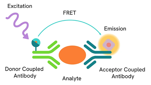 HTRF category image hero