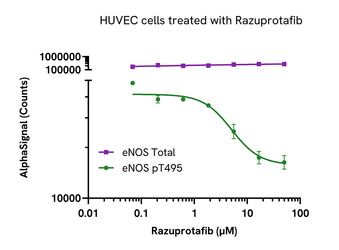 Regulation of eNOS activity in endogenous cellular models