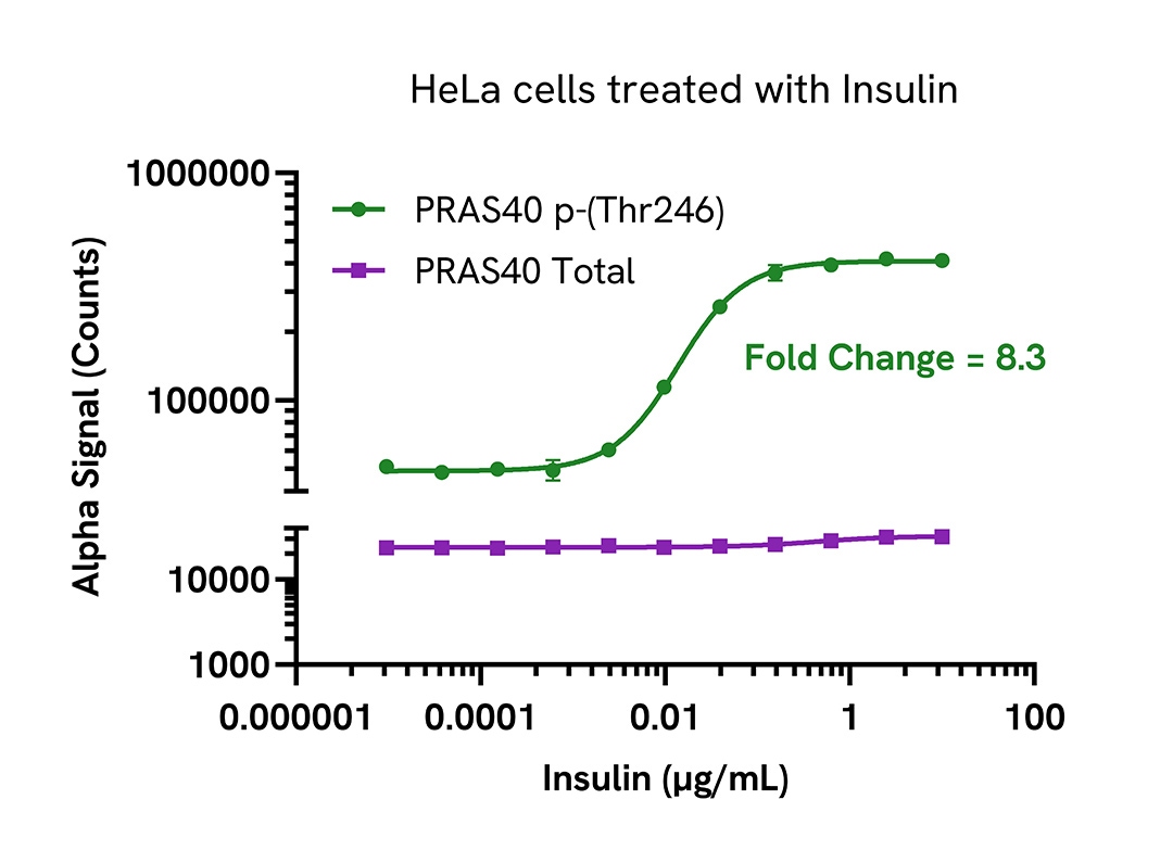 Pharmacological Validation (activator) of Phospho (Thr246) PRAS40