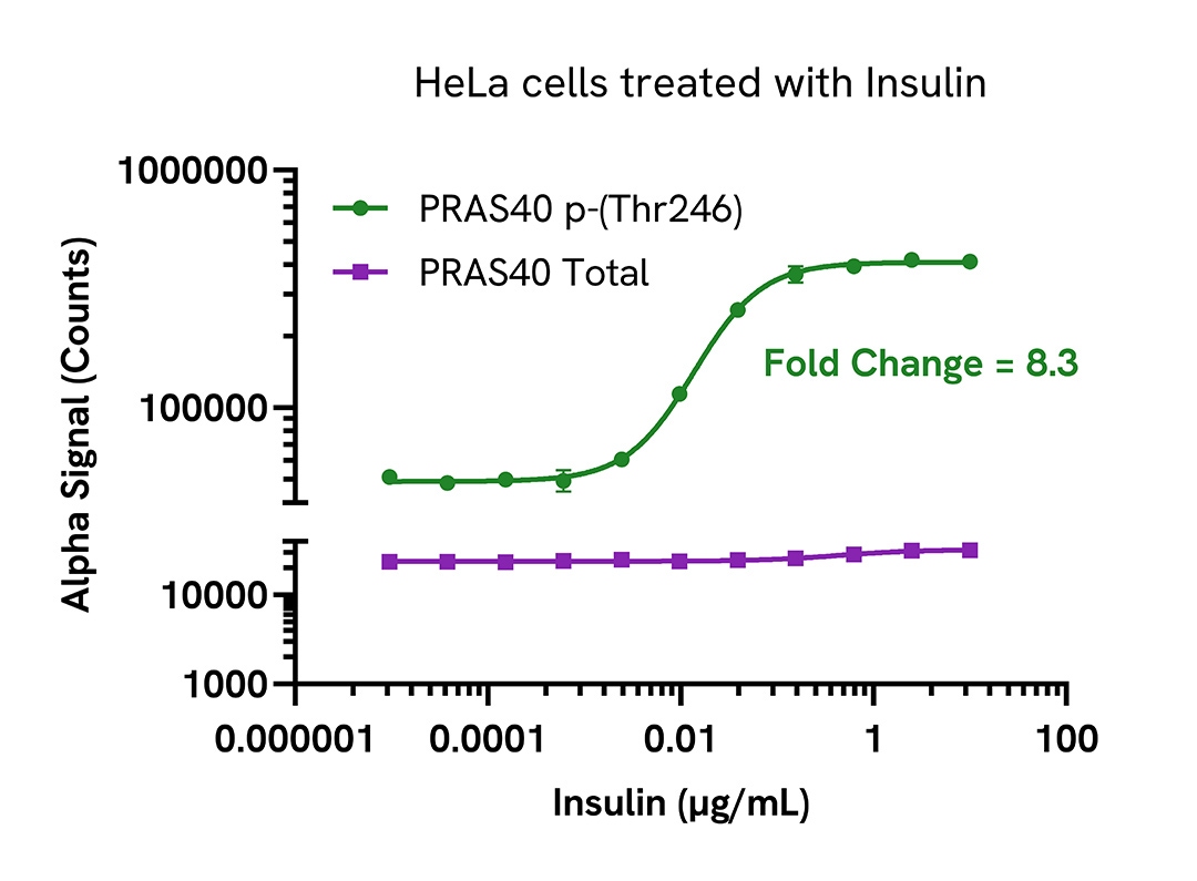 Pharmacological Validation of Total PRAS40