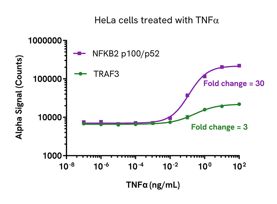 Pharmacological Validation (Activation) of TRAF3 Total