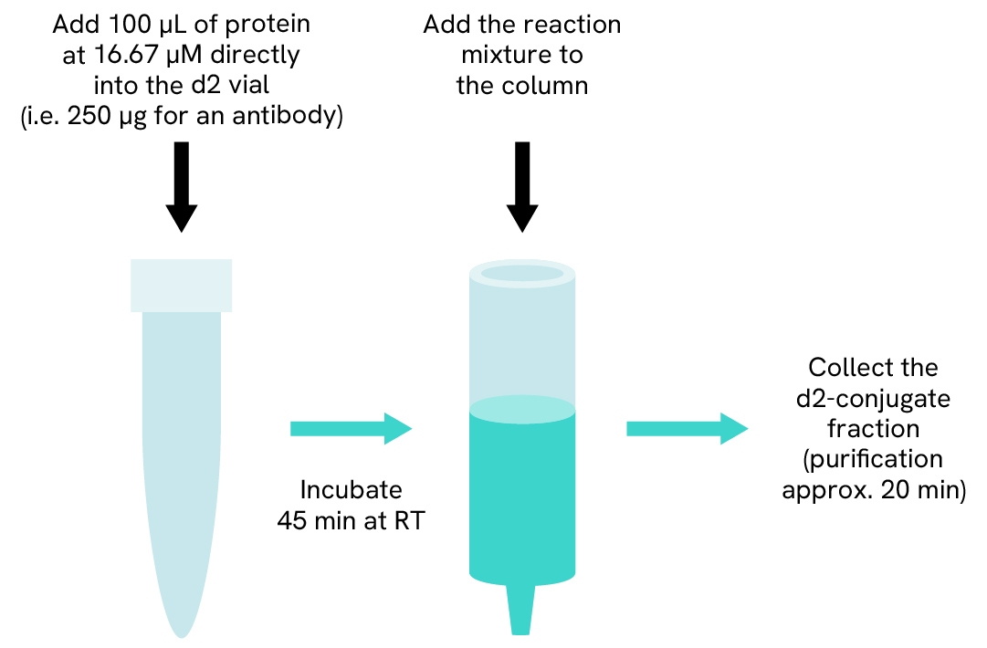 ILL-D2-labeling-protocol-image.jpg