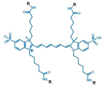 IVISense 2-DeoxyGlucosone (DG) Fluorescent Probes