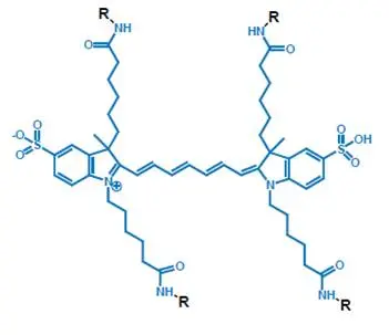 IVISense 2-DeoxyGlucosone (DG) Fluorescent Probes