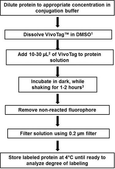 IVISense Fluorescent Dyes