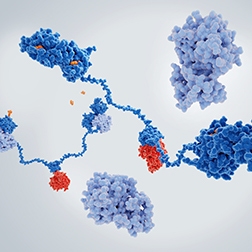 Image-1_cell-signaling_HTRF-category-page_252x252