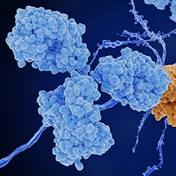 Image-3_Biomarkers_HTRF-category-page_252x252