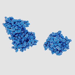 Image-5_Protein-protein-int_HTRF-category-page_252x252