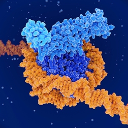 Image-6_epigenetic_HTRF-category-page_252x252