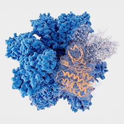 Image-7_kinase_HTRF-category-page_252x252