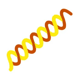 Image-section-3-non-coding-RNA_252x252