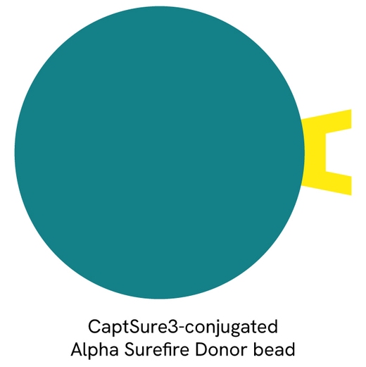 AlphaLISA Surefire Ultra Captusre3 donor beads