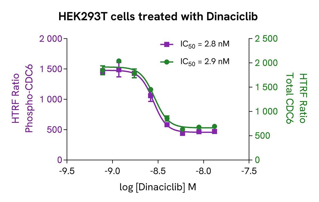 CDC6 phospho-S54 assay validation inhibitor Dinaciclib