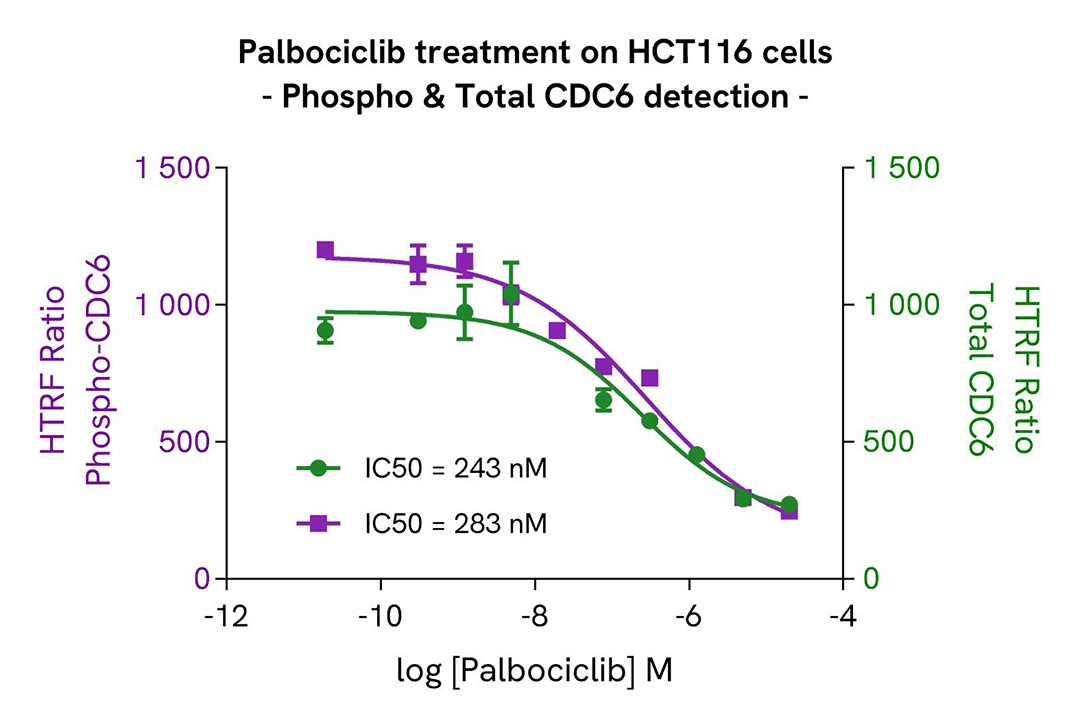 CDC6 phospho-S54 assay-validation inhibitor Pablociclib