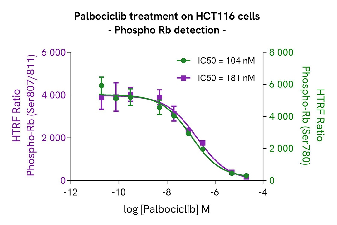 CDC6 phospho-S54 assay validation inhibitor Palbociclib phospho-Rb