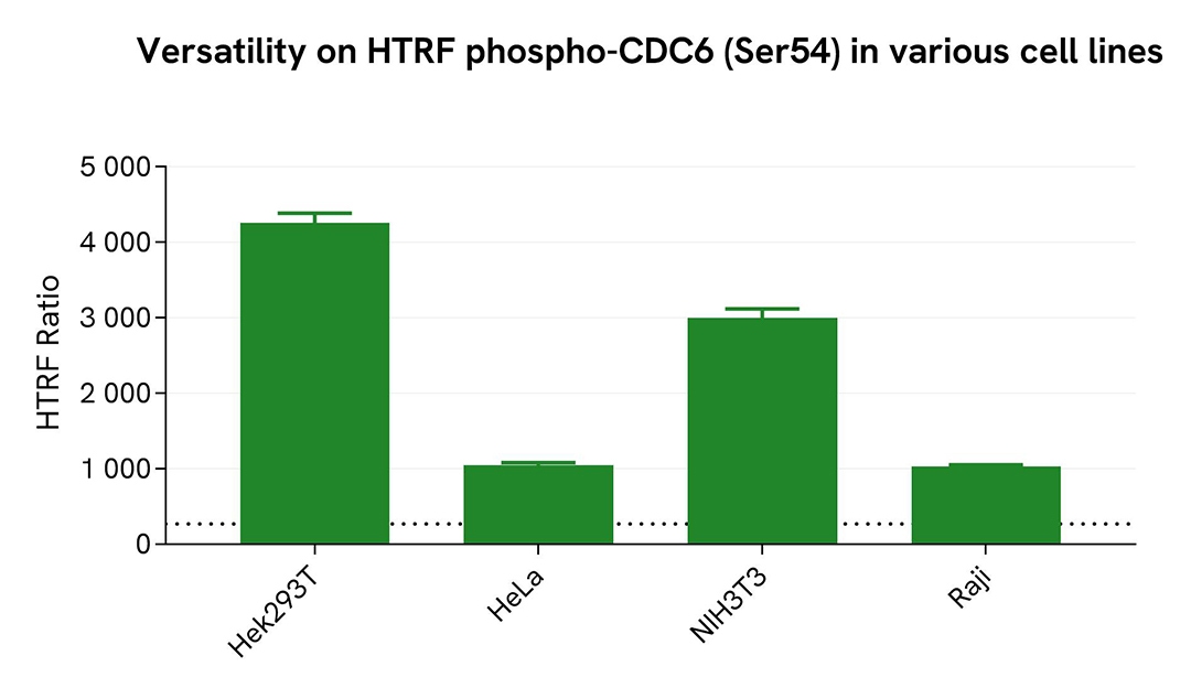 CDC6 phospho-S54 assay validation versatility