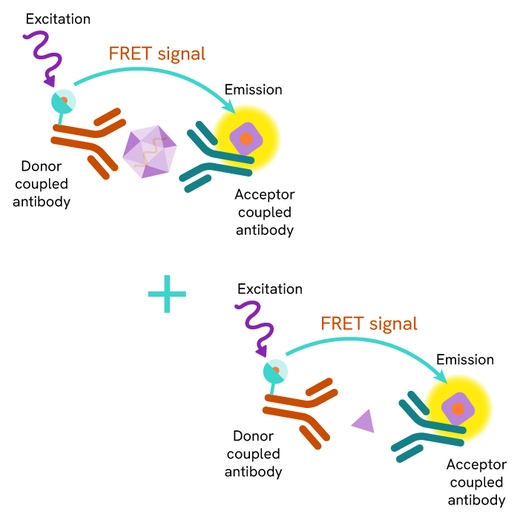 HTRF SARS-CoV2 nucleocapsid Detection Kit image