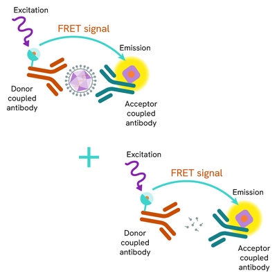 HTRF SARS-CoV2 Spike S1 Protein Detection Kit image