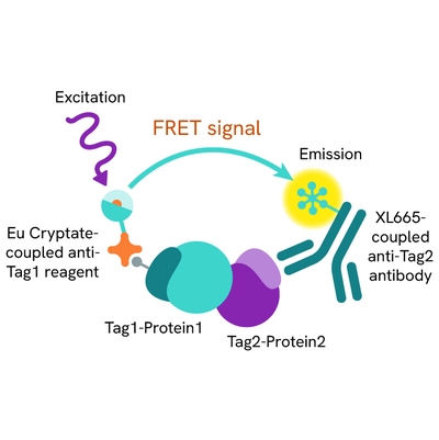 HTRF Cytokine IL17A IL12RA