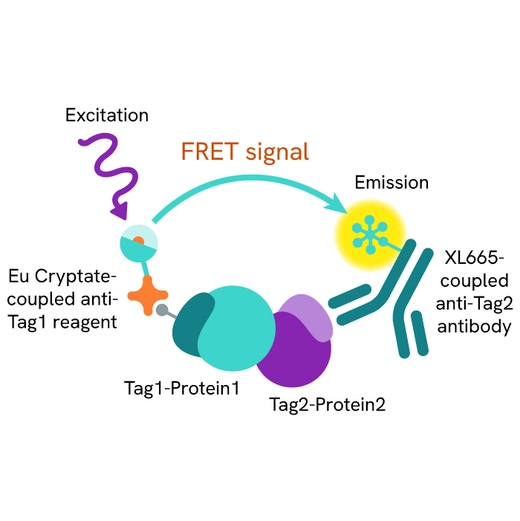 HTRF Cytokine IL17A IL12RA