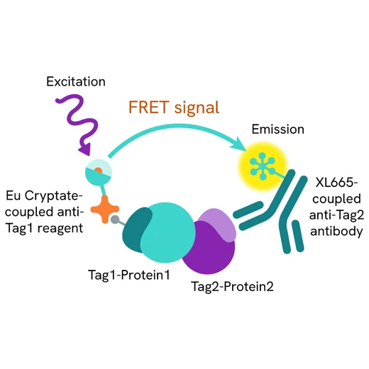 HTRF Cytokine IL17A IL12RA
