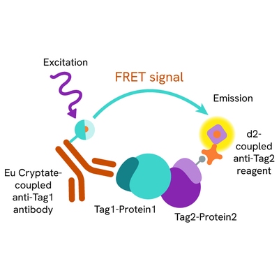 HTRF Cytokine IL23 IL23R
