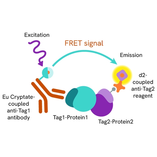 HTRF Cytokine IL23 IL23R