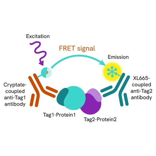 HTRF Cytokine IL6 IL6R