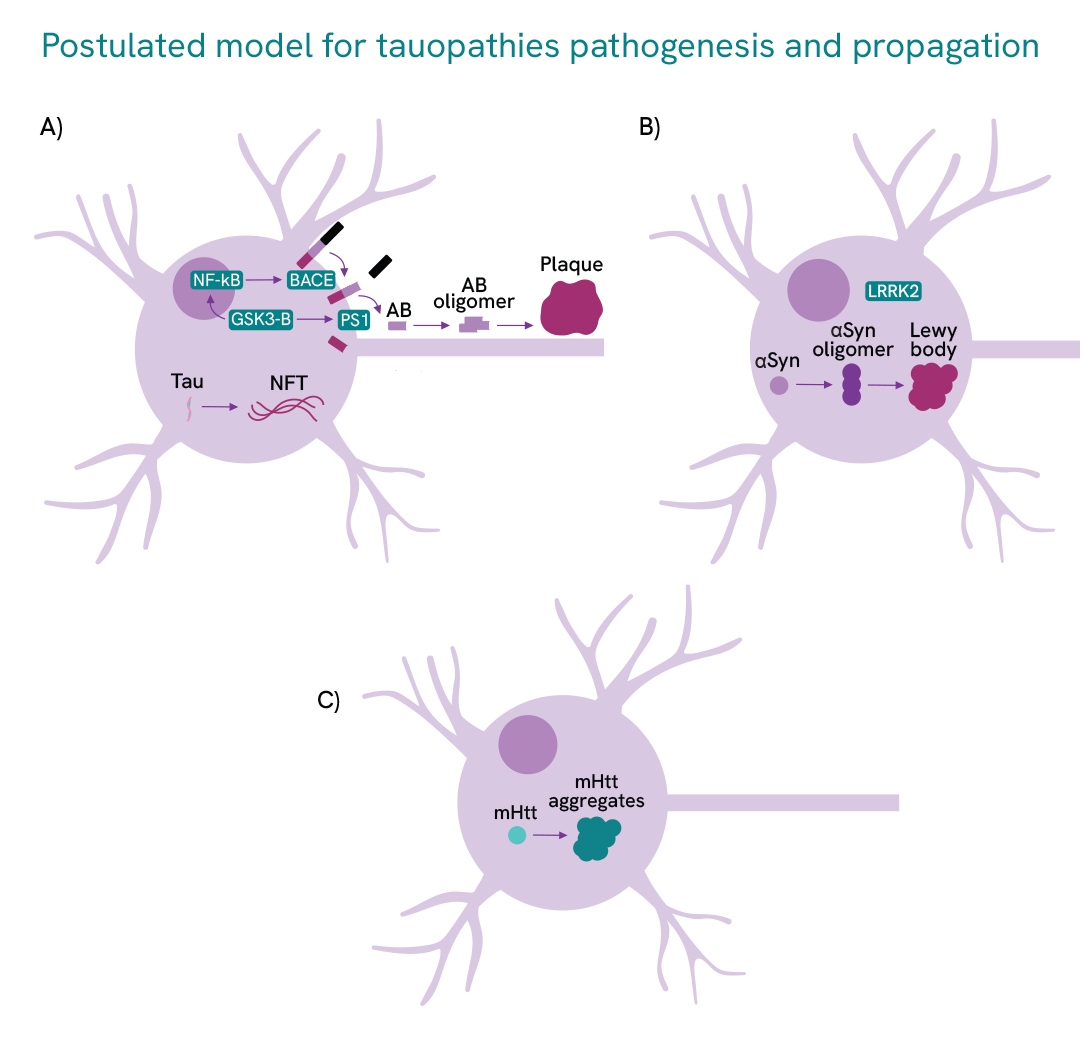 Pathway neurosicence reagents category page targeted protein