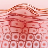 Immunogenetics-160x160