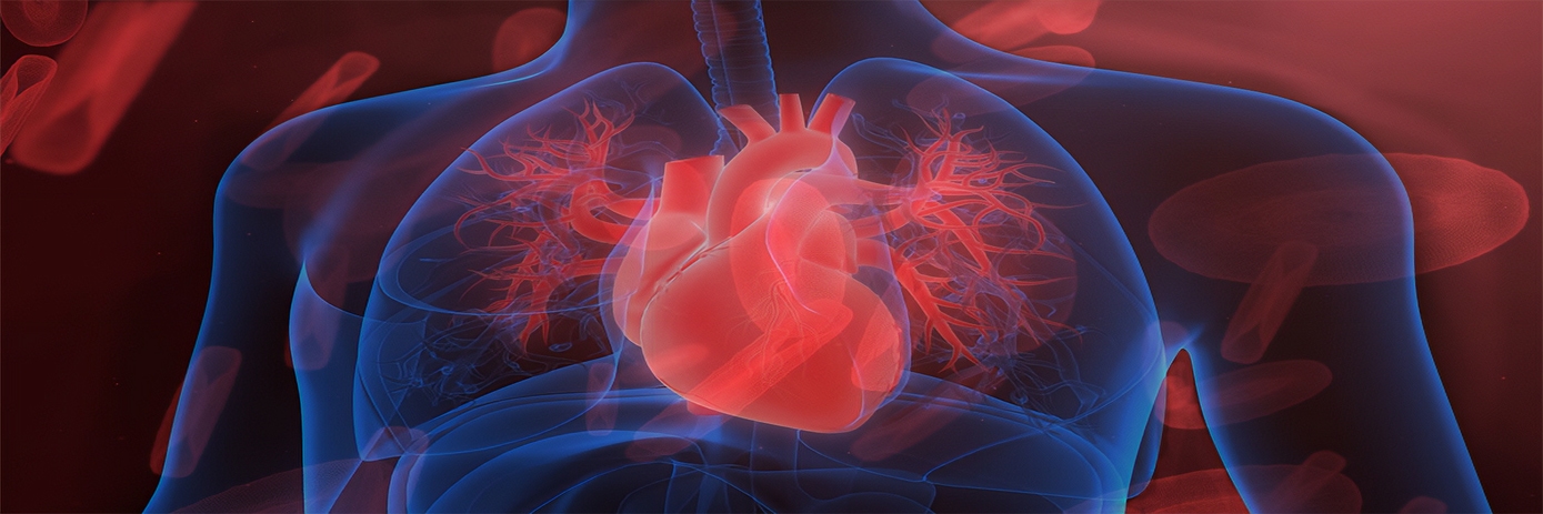 Improving Drug Safety Through Cardiotoxicity Assessment