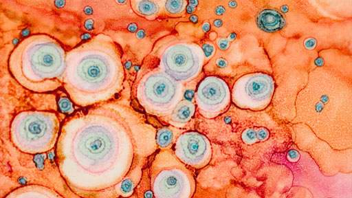 Integrins-as-targets-512x288