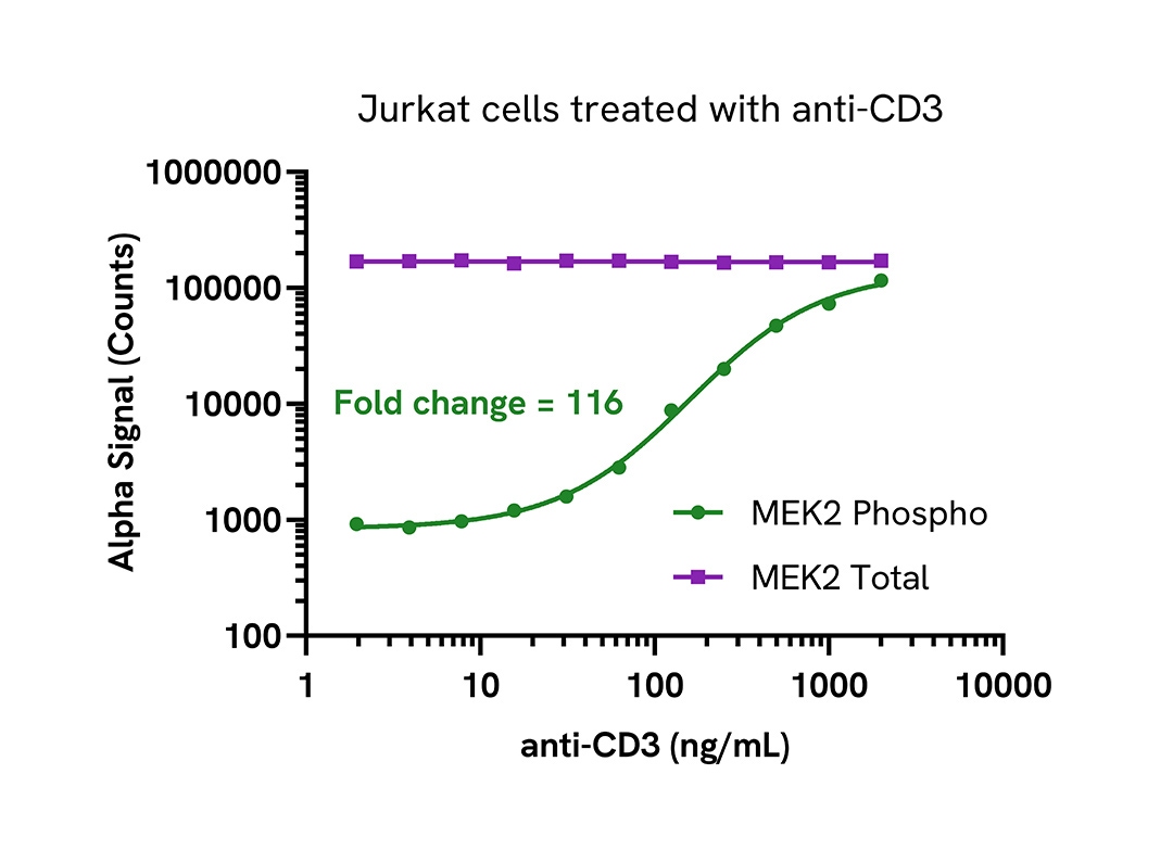 Pharmacological Validation (activator) of phospho MEK2 (Ser217/221)