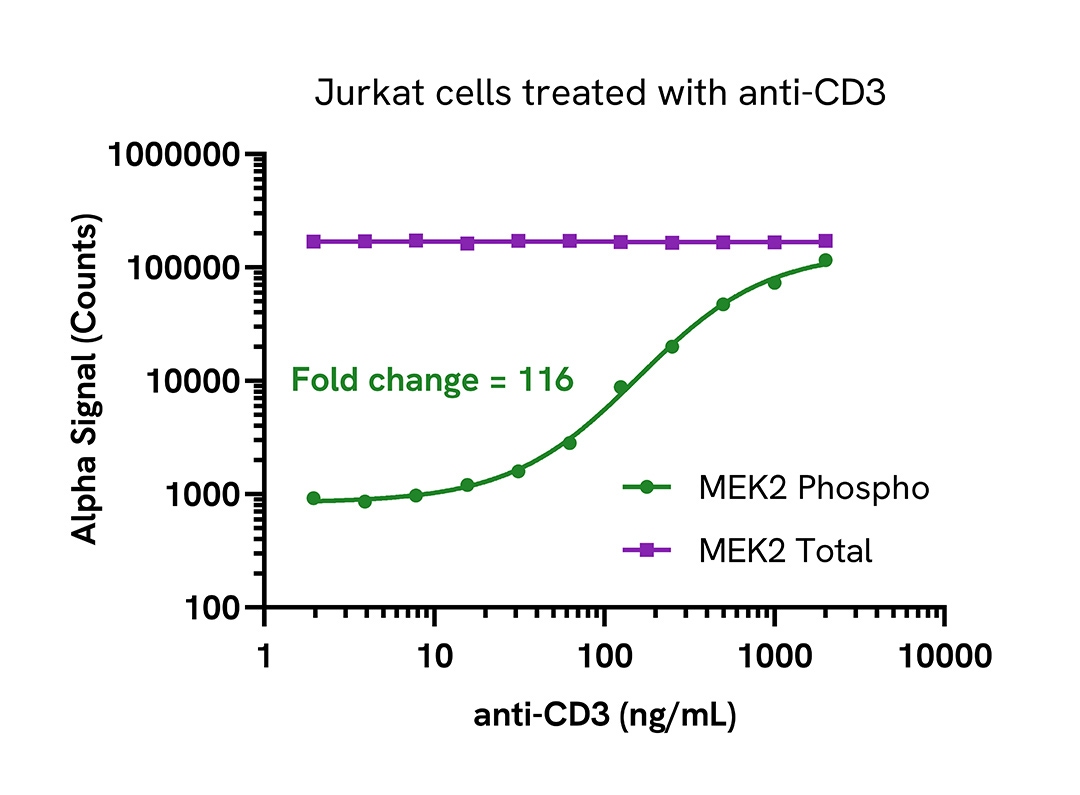 Pharmacological Validation (activator) of Phospho MEK2 (Ser217/221)/Total assays