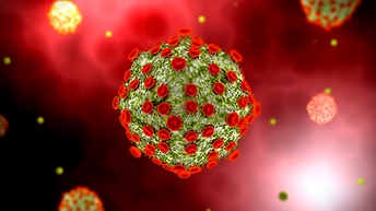 LentiBOOST-TransductionEnhancer512x288