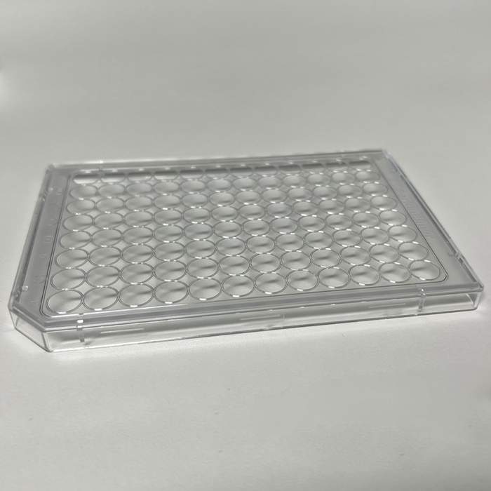ロッド Cyphilist Flatsaber CPFS-98ML/FLAT Lid 96-well, clear, sterile | Revvity