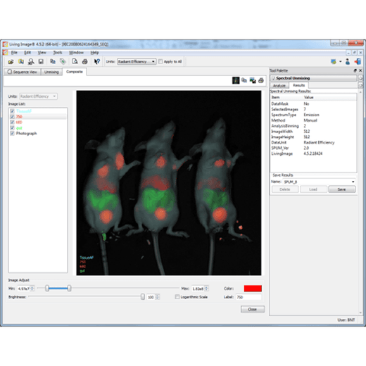 Living Image® analysis software - IVIS Lumina platform