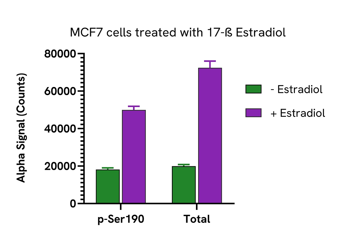 Pharmacological Validation (activator) of Progesterone Receptor