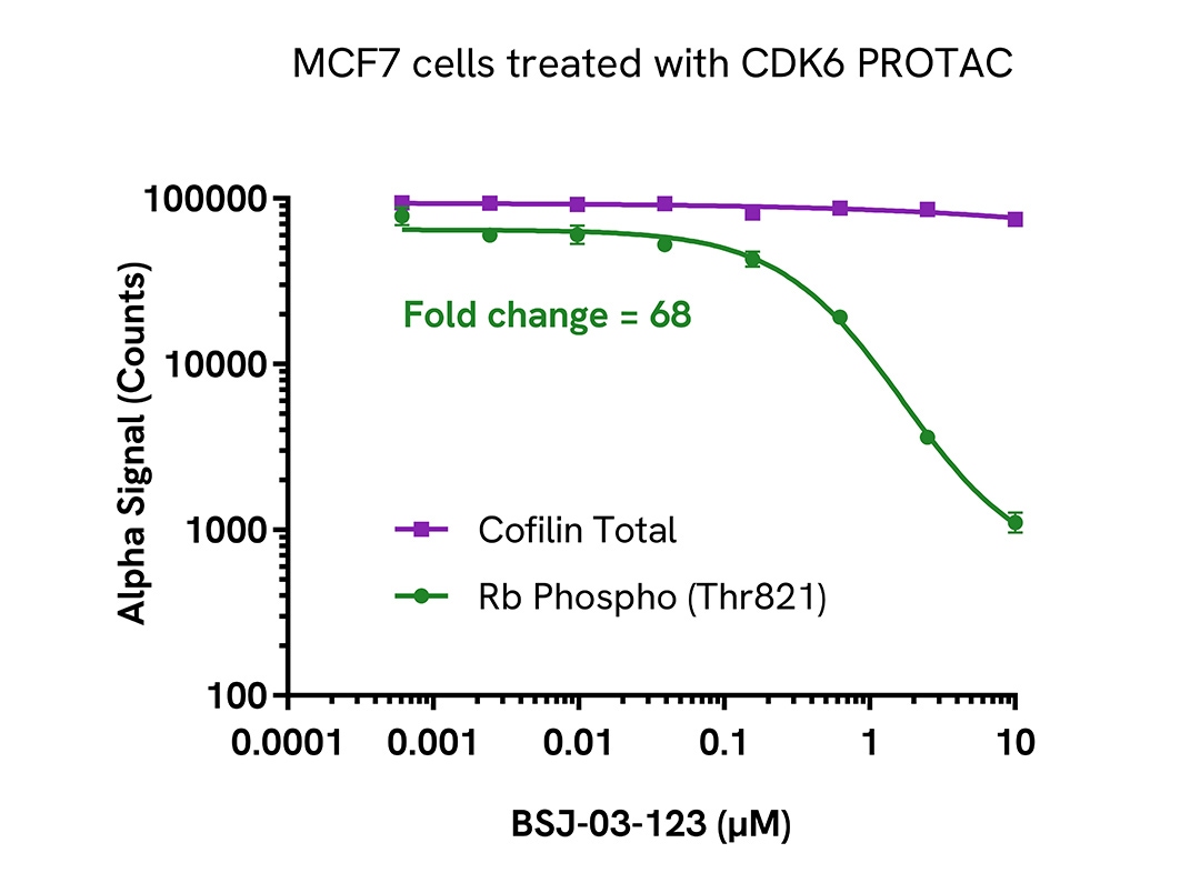 Pharmacological Validation (inhibitor) of Phospho-Rb (Thr821)