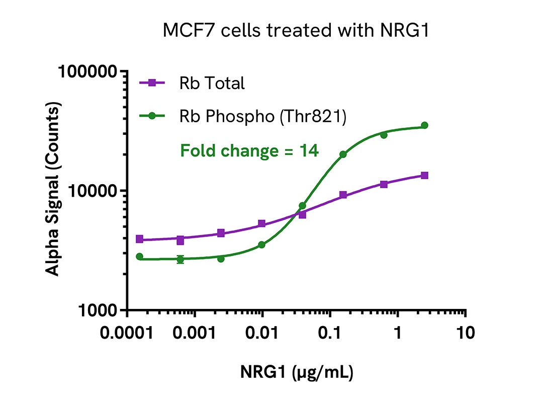 Pharmacological Validation (activator) of Phospho-Rb (Thr821)