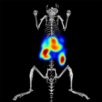 IVISense™ Toxicology Fluorescent Imaging Panel