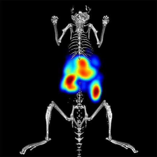 IVISense™ Toxicology Fluorescent Imaging Panel