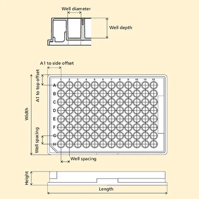 Microplate Dimensions Reference Diagram