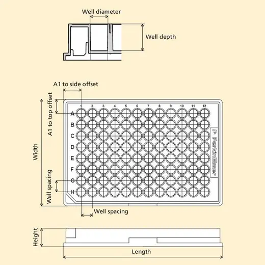 Microplate Dimensions Reference Diagram