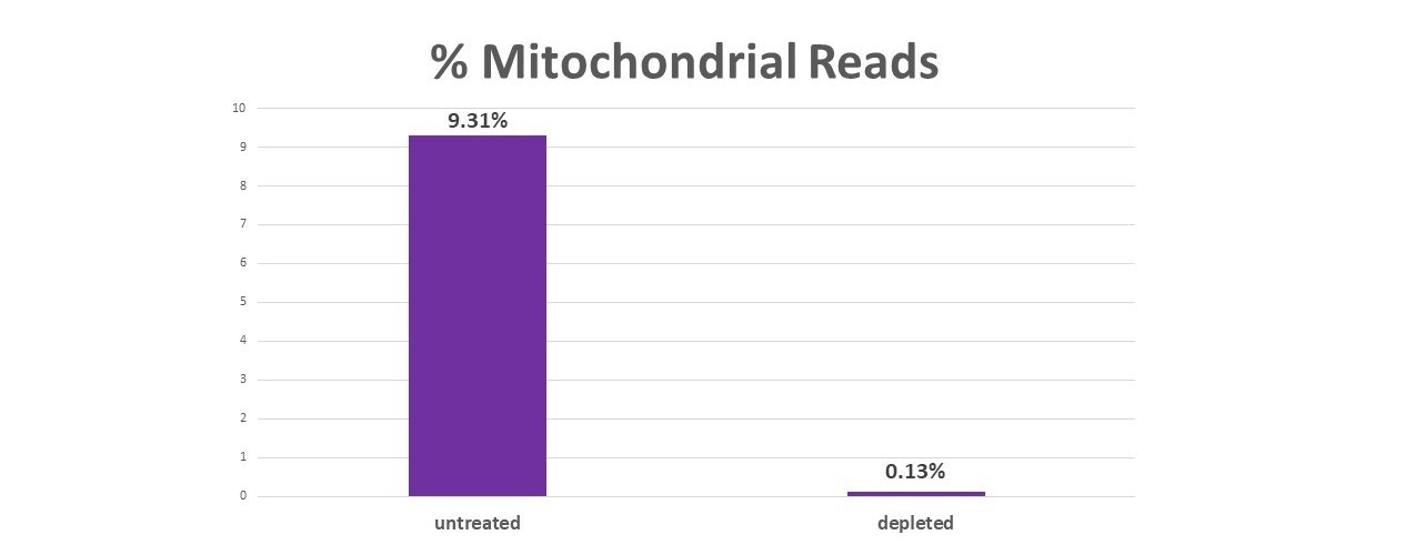 Mito-Depletion-Fig-1