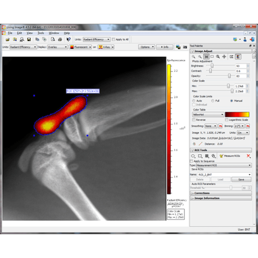 Mouse knee using IVIS Lumina XRMS and Living Image Software